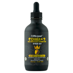 Lifecykel Chaga Mushroom Liquid Extract by Lifecykel