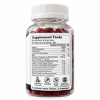 Back of Alpha Performance Shilajit Gummies bottle showing the supplement facts panel and two-gummy serving size